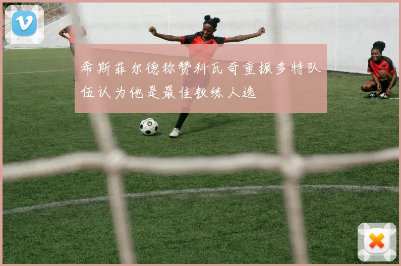 希斯菲尔德称赞科瓦奇重振多特队伍认为他是最佳教练人选